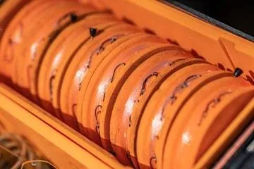 Guru Fusion Feeder Box